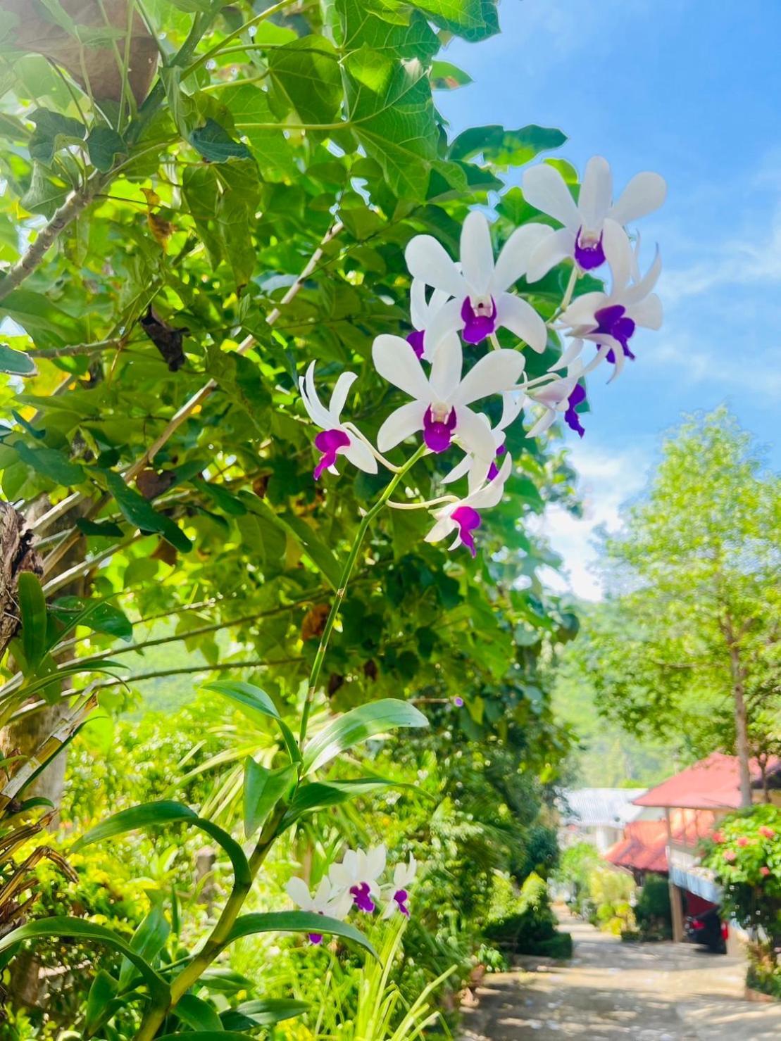 Suriyan Villa Erawan Kanchanaburi สุริยัน วิลล่า เอราวัณ กาญจนบุรี Tha Kradan Eksteriør bilde